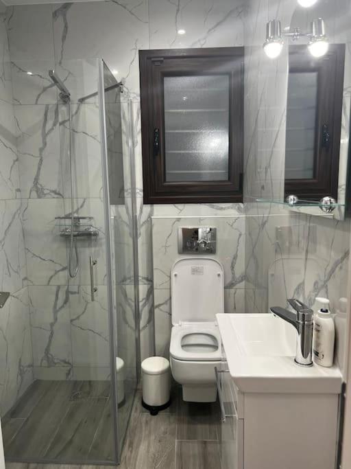 Olivia Luxury Apartment Palio Faliro Αθήνα Εξωτερικό φωτογραφία